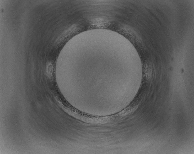 X0000081390036200702020306