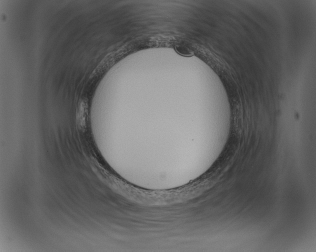 X0000081390038200702020306