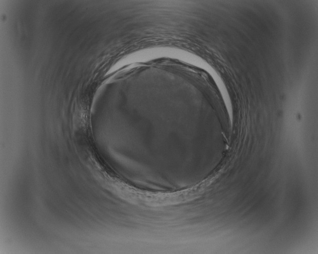 X0000081390039200702020306