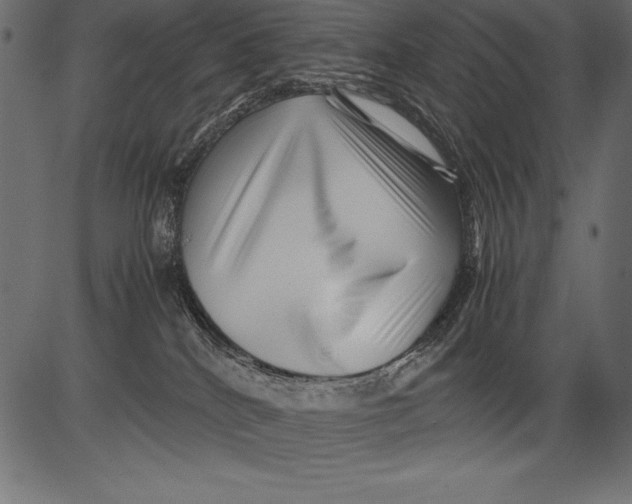 X0000081390040200702020306