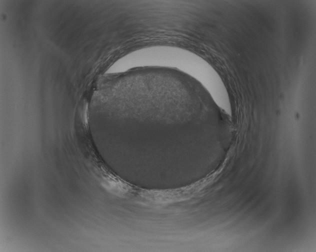 X0000081390041200702020306