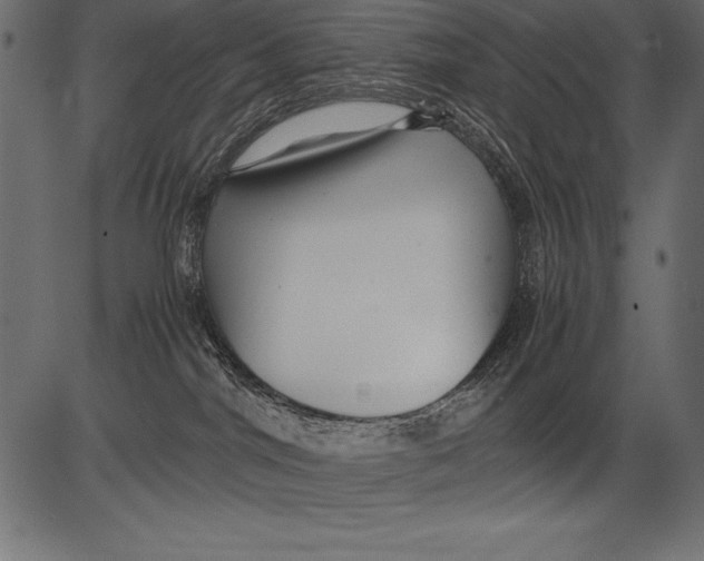 X0000081390044200702020306