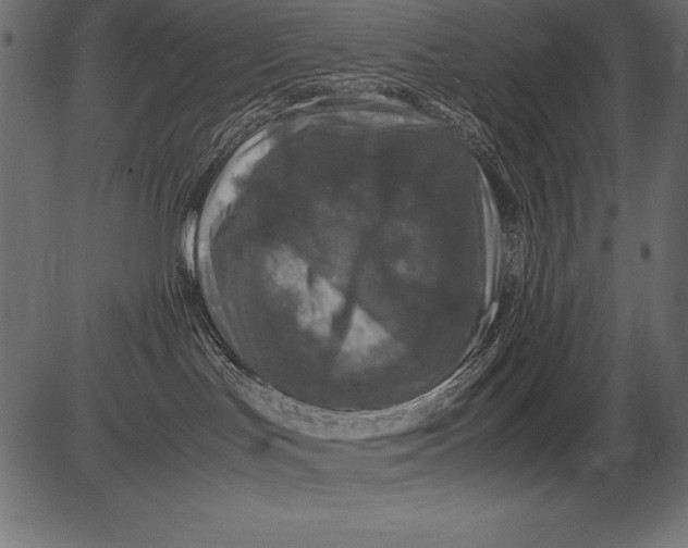 X0000081390047200702020306