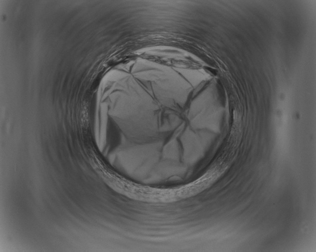 X0000081390048200702020306