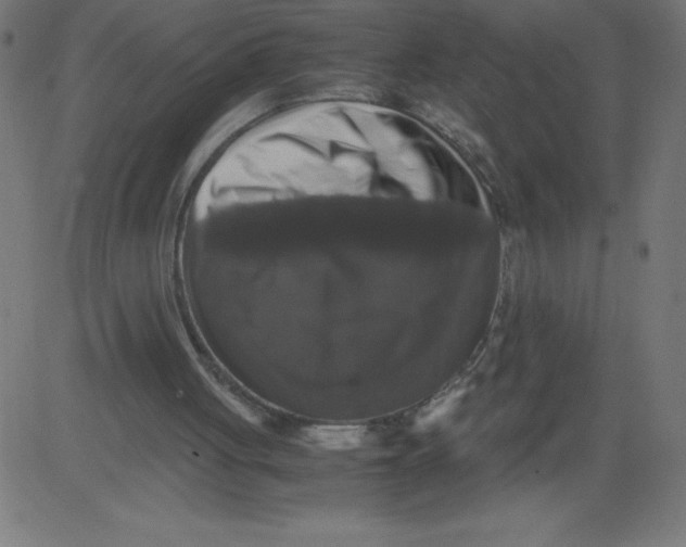 X0000081390051200702020305