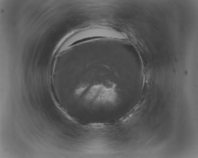 X0000081390052200702020305