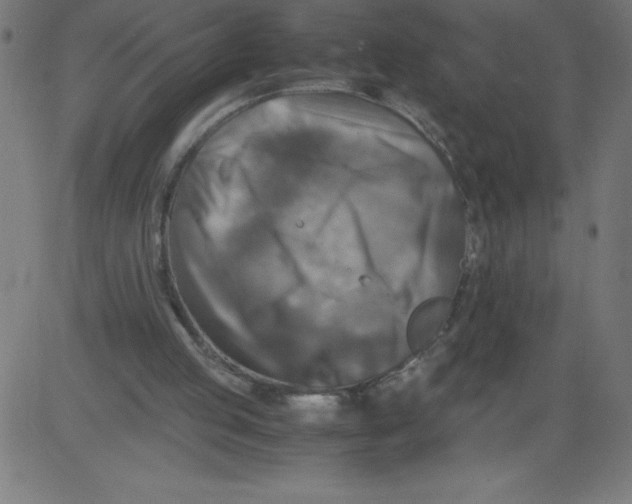 X0000081390053200702020305