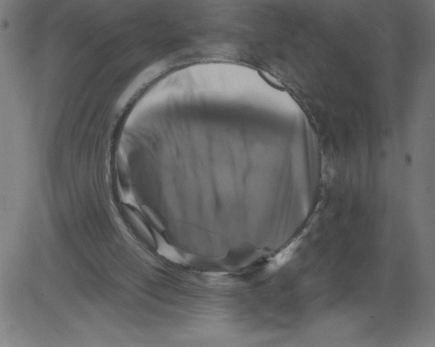 X0000081390054200702020305