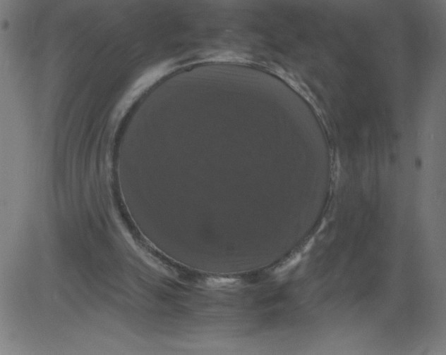 X0000081390055200702020305