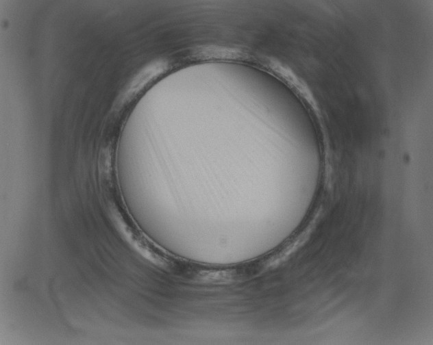 X0000081390057200702020305