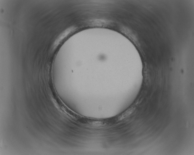 X0000081390058200702020305