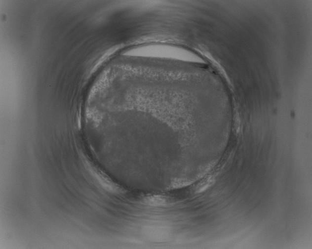 X0000081390062200702020306