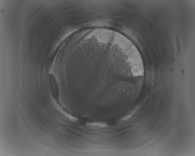 X0000081390063200702020306