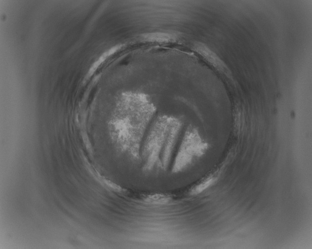 X0000081390064200702020306