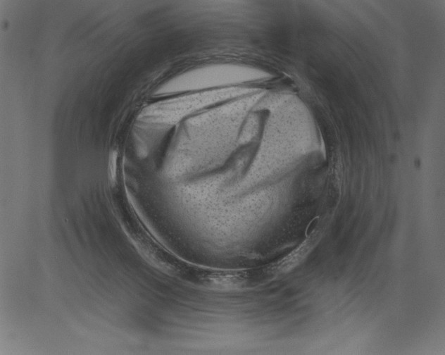 X0000081390070200702020306