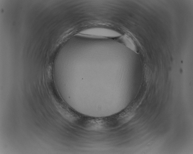 X0000081390071200702020306