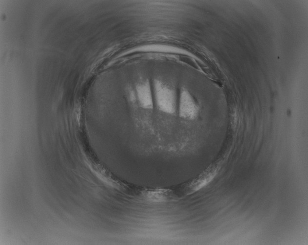 X0000081390072200702020306