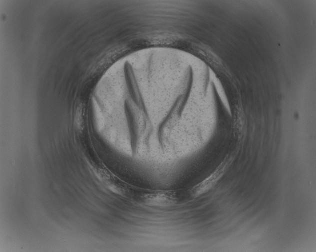 X0000081390074200702020306