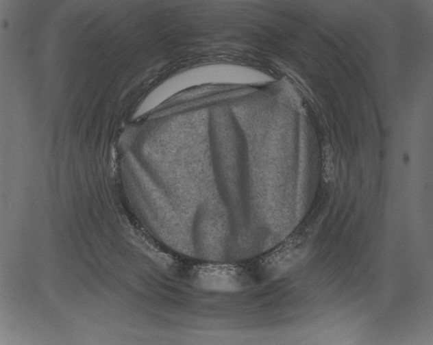 X0000081390077200702020306