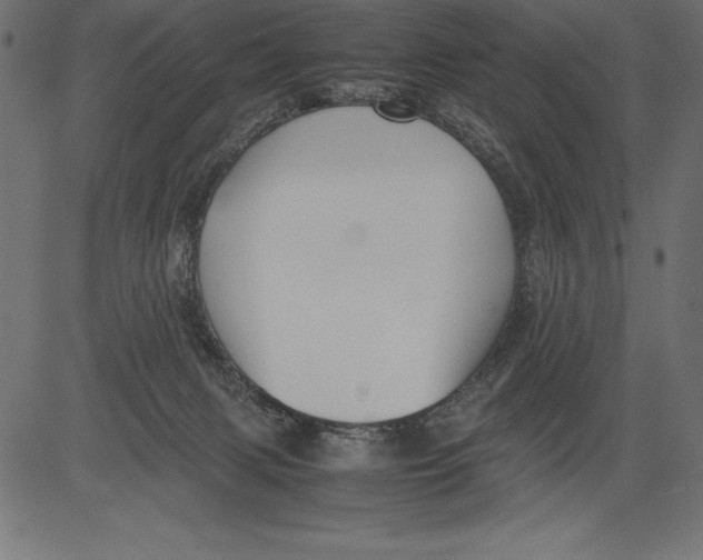 X0000081390079200702020306