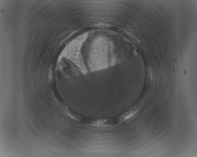 X0000081390080200702020306