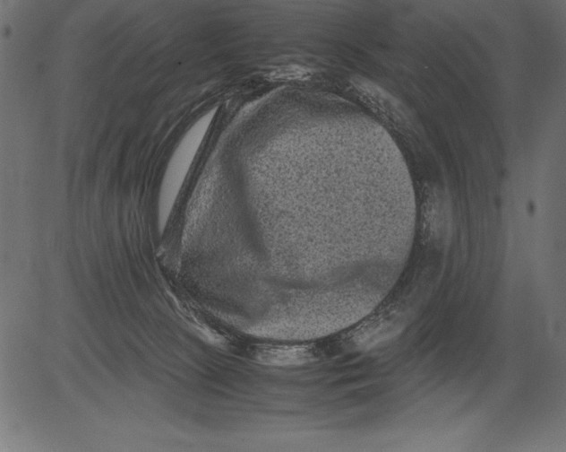 X0000081390081200702020306