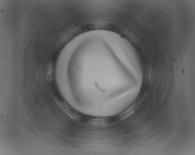 X0000081390082200702020306