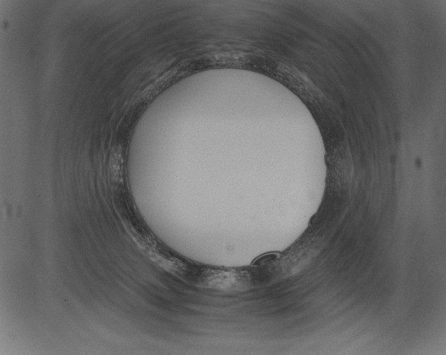 X0000081390083200702020306