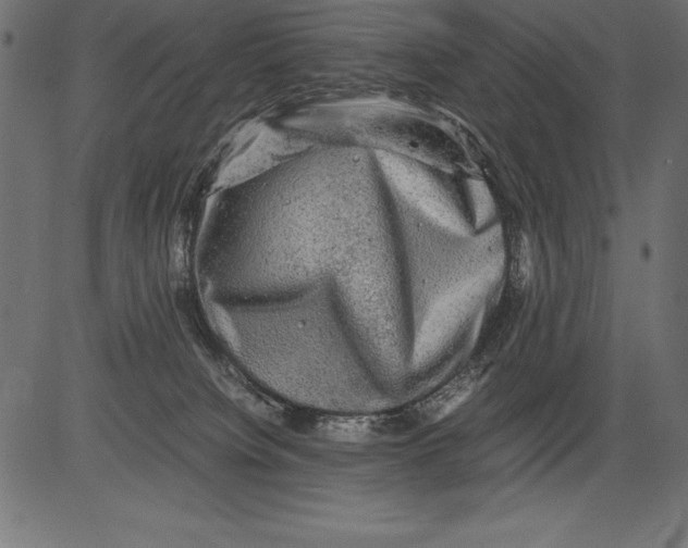 X0000081390084200702020306