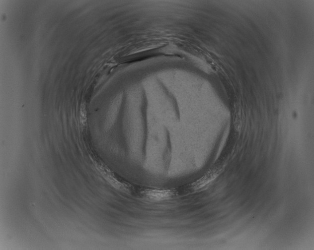 X0000081390085200702020306