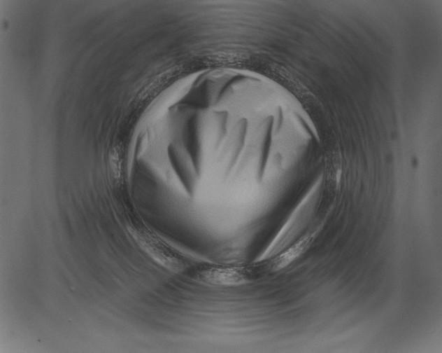 X0000081390086200702020306