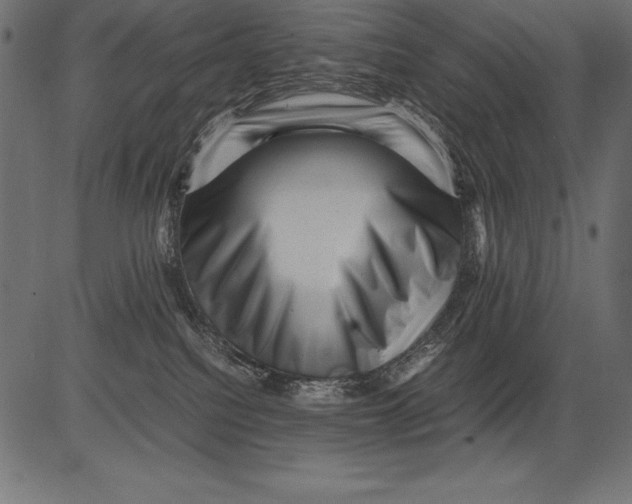 X0000081390088200702020306