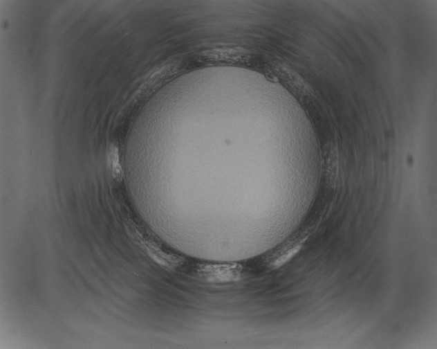 X0000081390089200702020306