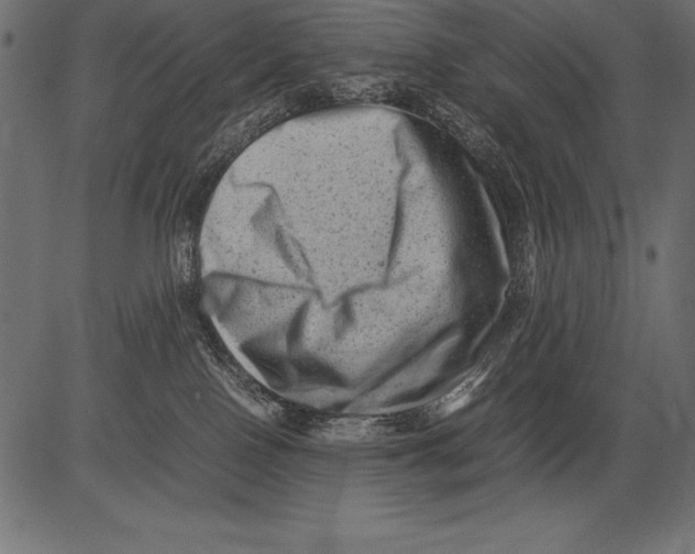 X0000081390090200702020306