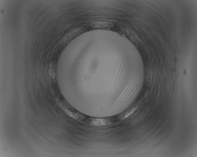 X0000081390091200702020306