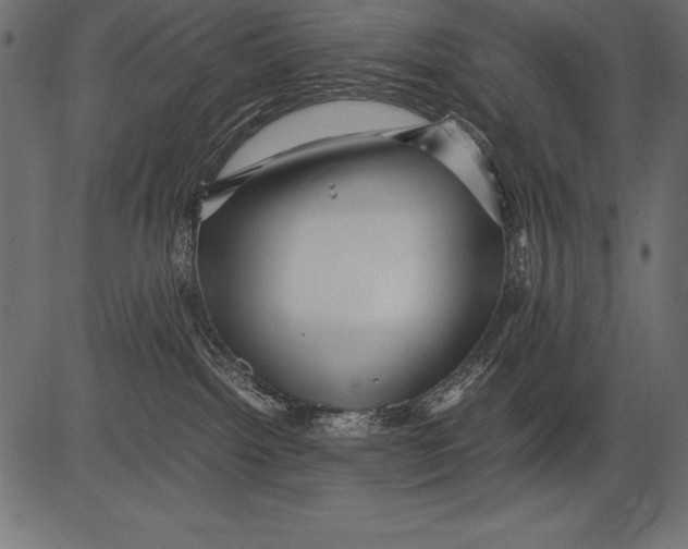 X0000081390092200702020306