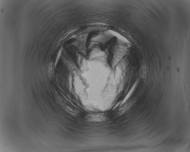 X0000081390093200702020306