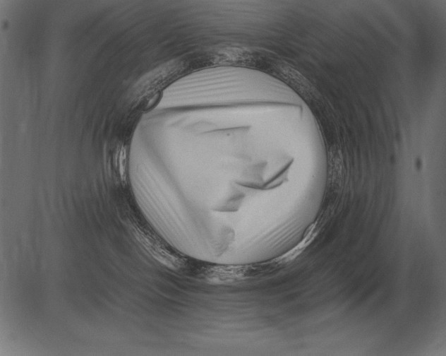 X0000081390094200702020306