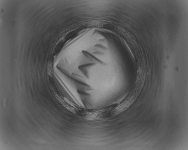 X0000081390096200702020306