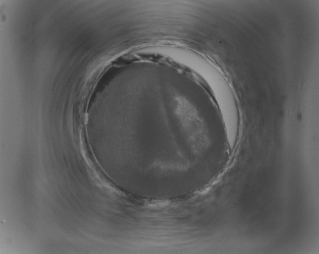 X0000081390097200702020305