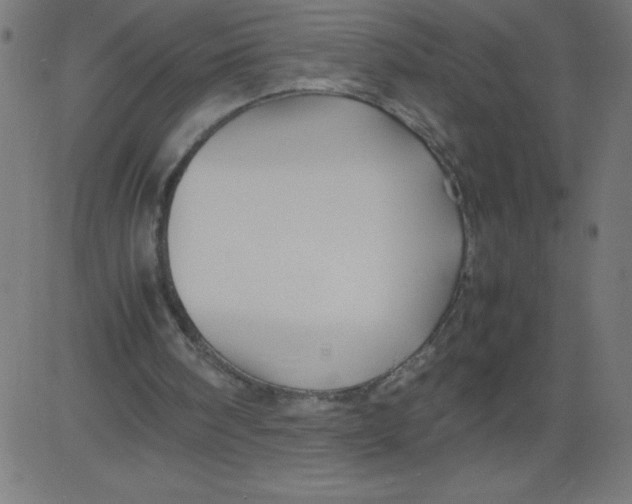 X0000081390098200702020305