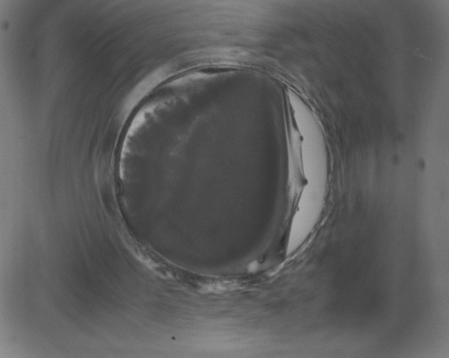 X0000081390099200702020305