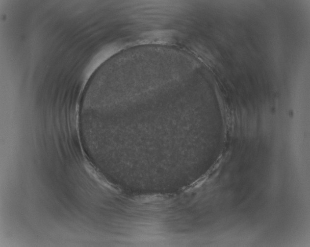 X0000081390100200702020305