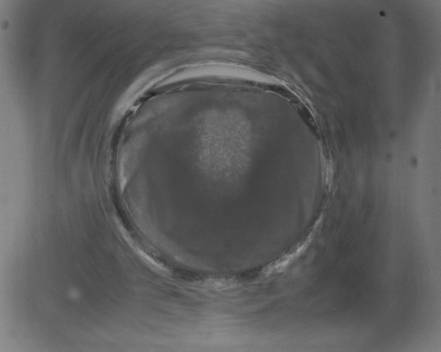 X0000081390101200702020305