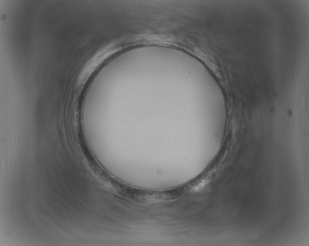 X0000081390103200702020305