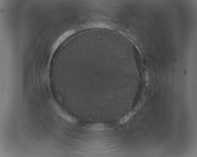 X0000081390104200702020305