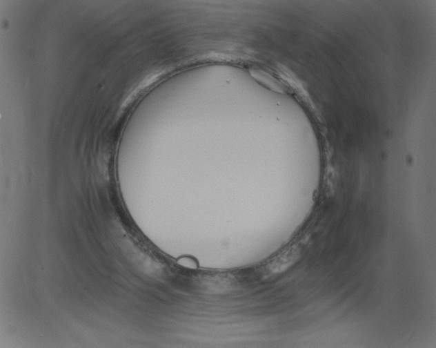 X0000081390106200702020305