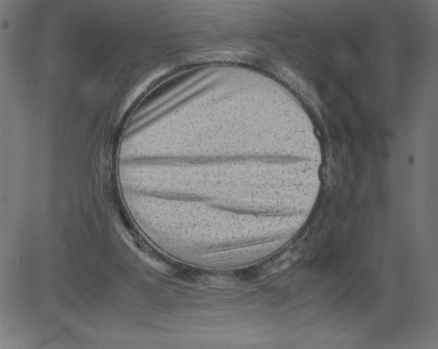 X0000081390107200702020305