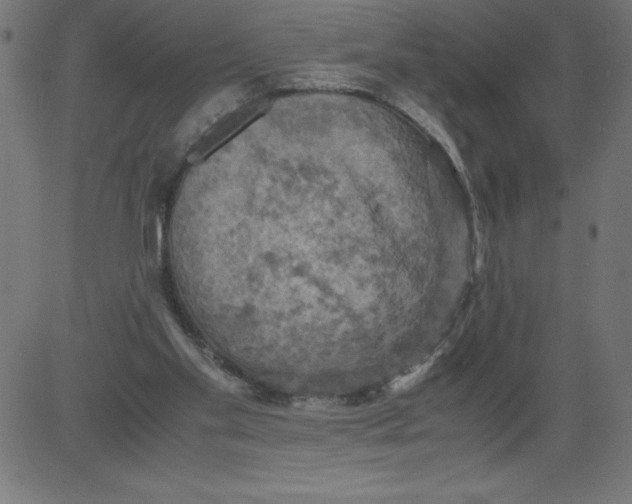 X0000081390109200702020305