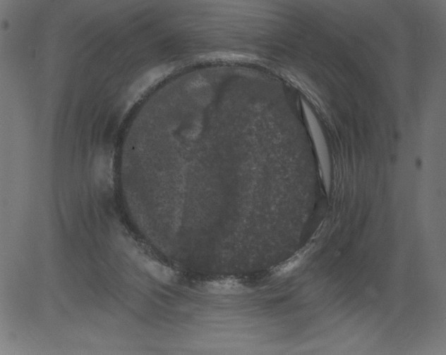 X0000081390112200702020305